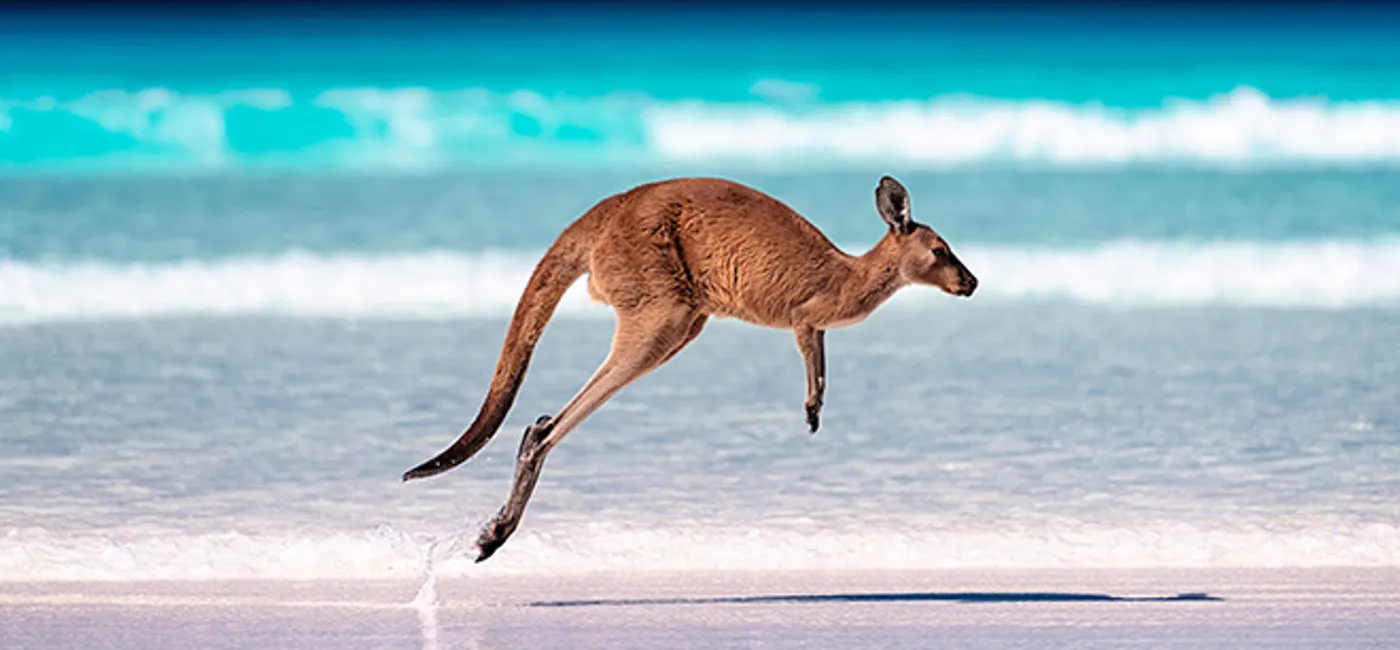 Global Affairs Updates Safety Warning for Australia