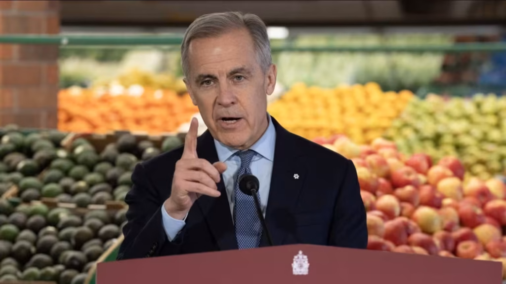 Canada Grocery Benefit Help Falls Short, Experts Say