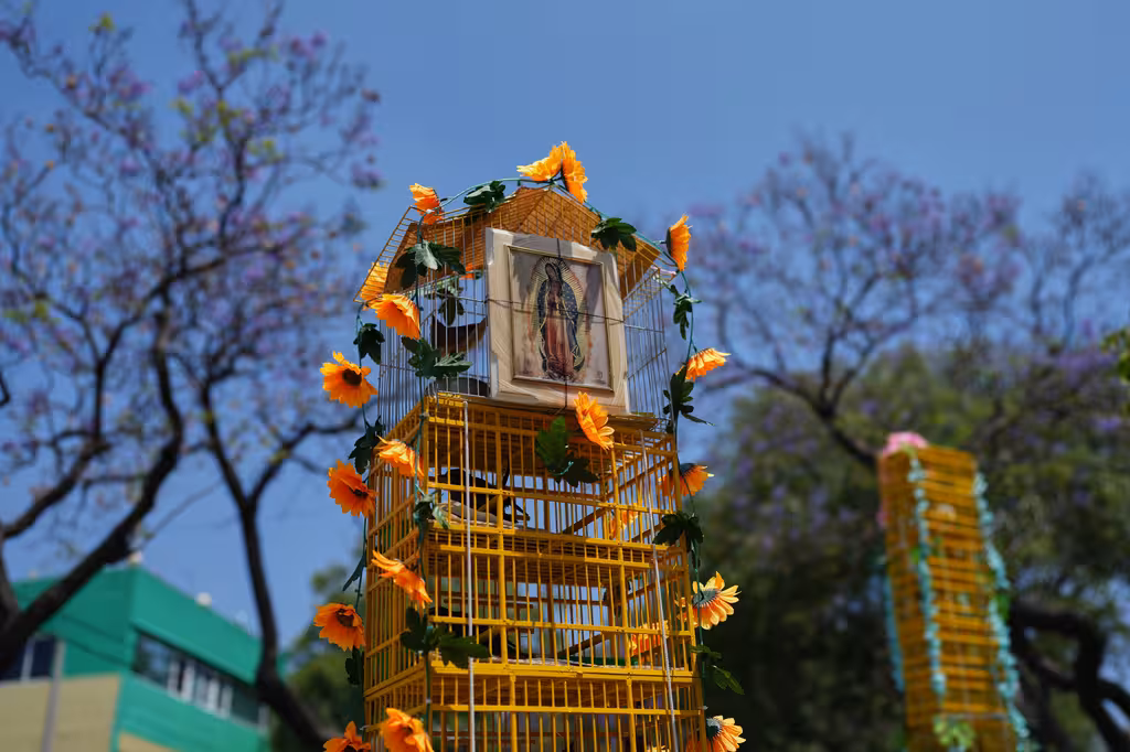 Mexico’s Bird Vendors Make Annual Pilgrimage to Basilica