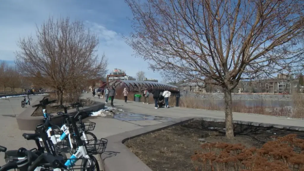 Albertans Report Lowest Quality of Life Satisfaction