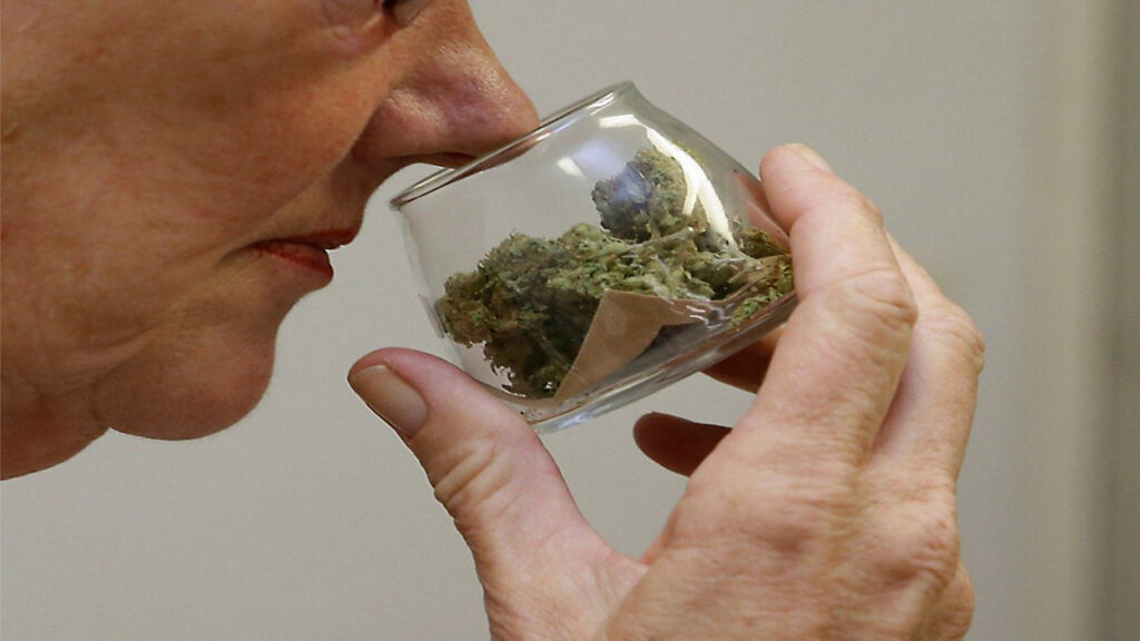 Buffalo Cannabis Owners Raise Concerns Over Rules in NY