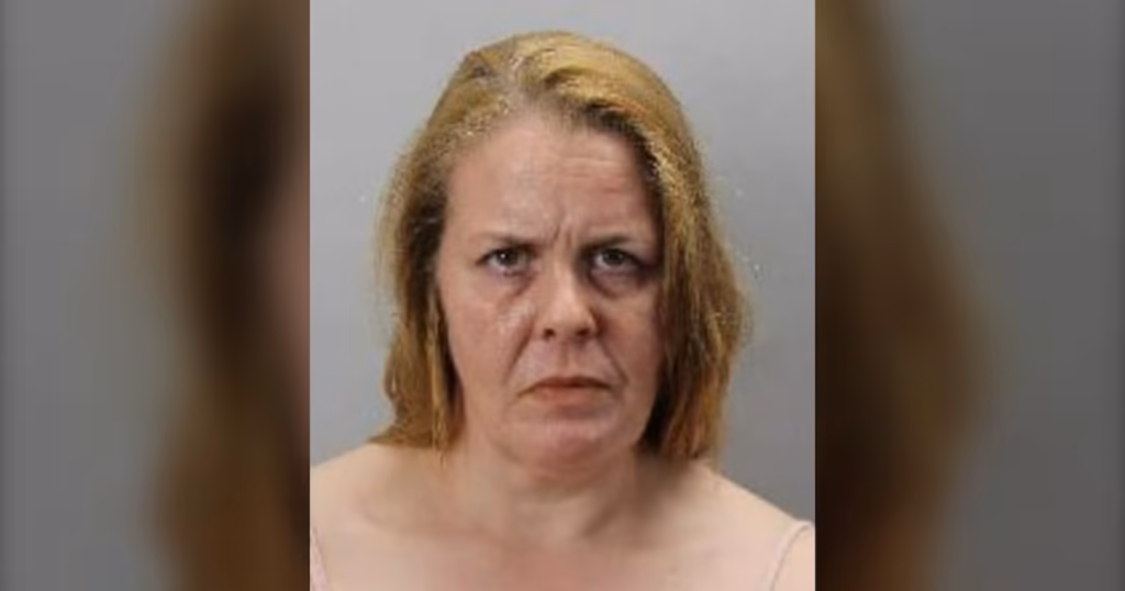 Halifax Arrests Saint John Woman on Canada-Wide Warrant