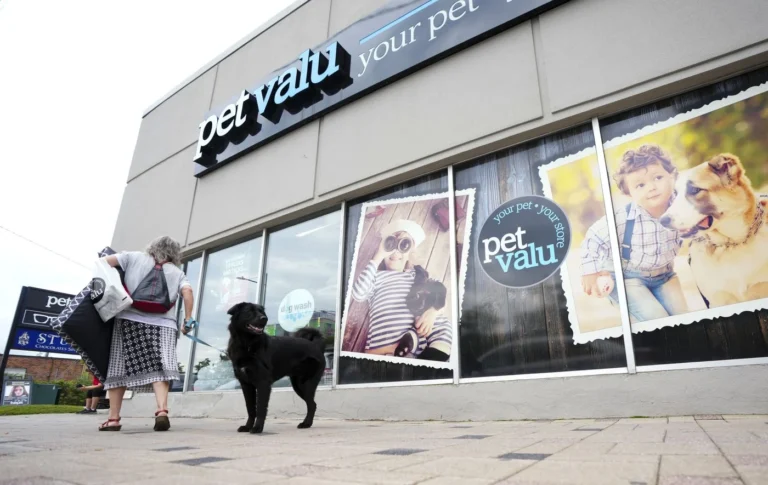 Pet Valu Holdings (PET.TO) Stock Price, News & History