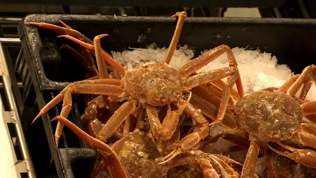Snow Crab Price Deal Leaves Industry Unhappy