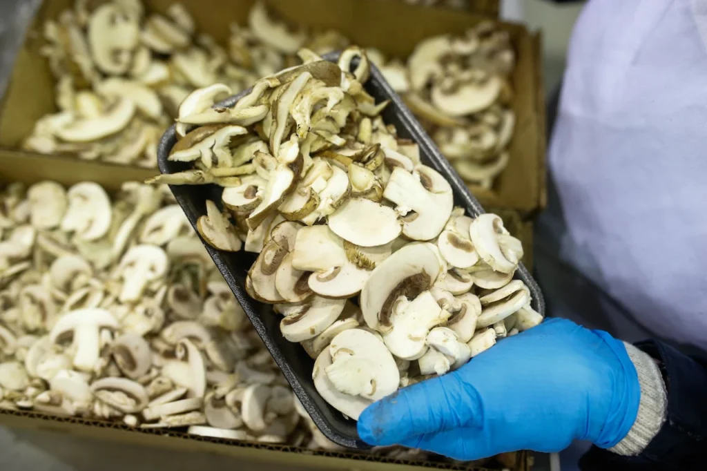 U.S. Imposes Duties on Canadian Mushrooms Trade Dispute