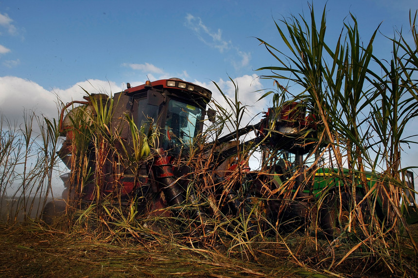 Florida Acquires U.S. Sugar Land As Part Of Everglades Restoration